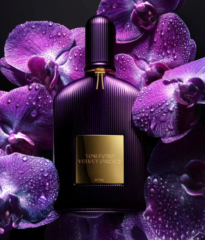 T. Velvet Orchid TF182