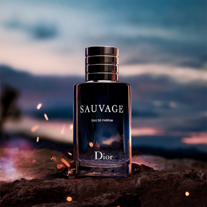D. Sauvage DR02