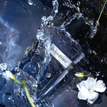 Y. Y EDT YS50